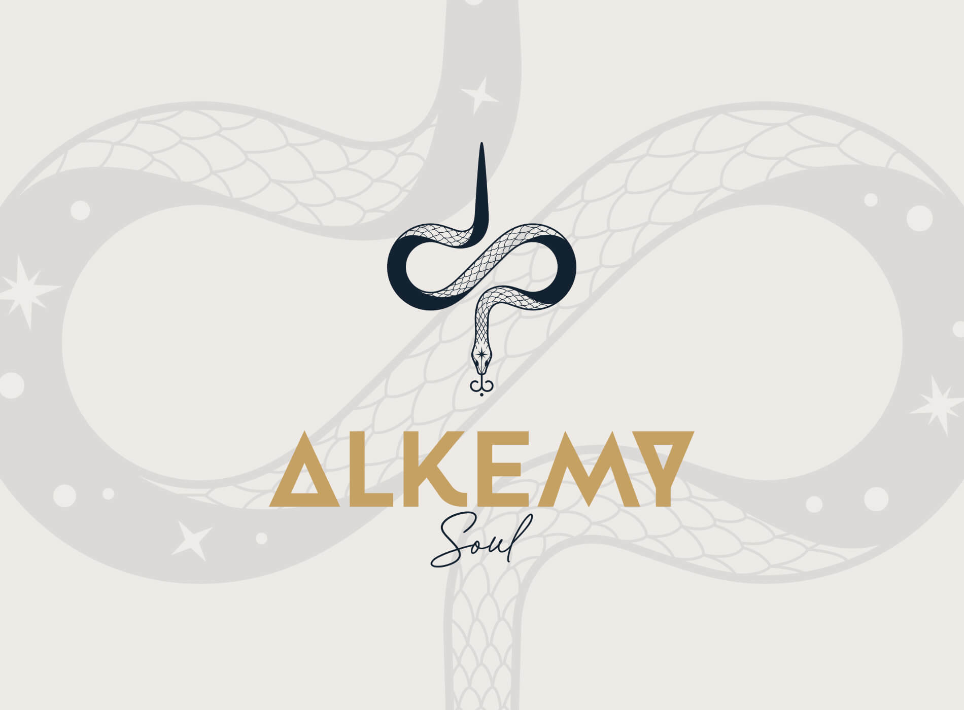 Alkemy Logo Grafikdesign